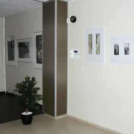 6. Otrokovický Salon 10 25 25 25