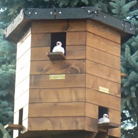 Výstava na louce 2014 5 33