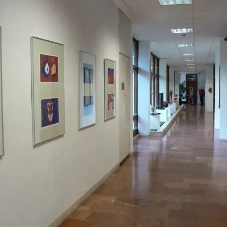 Výstava ve Vácu 1. 22 37