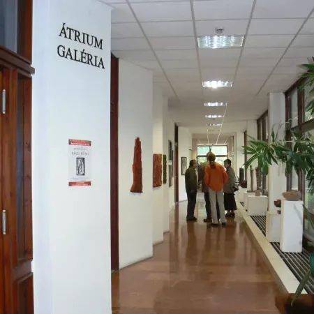 Výstava ve Vácu 1. 4 37