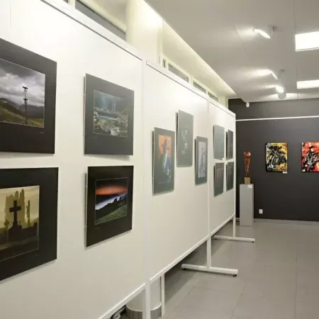  1. Výstava MGO 9 21