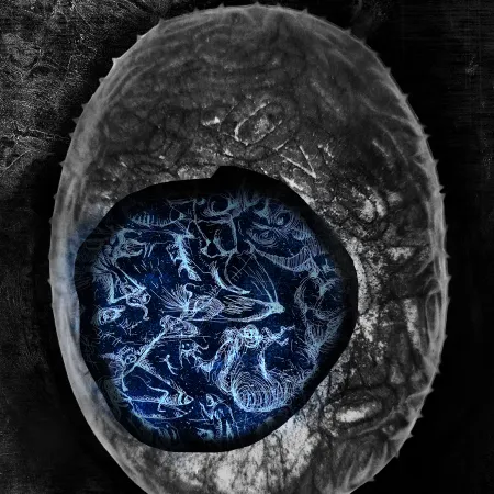 Jemelková Shejbalová Jolana