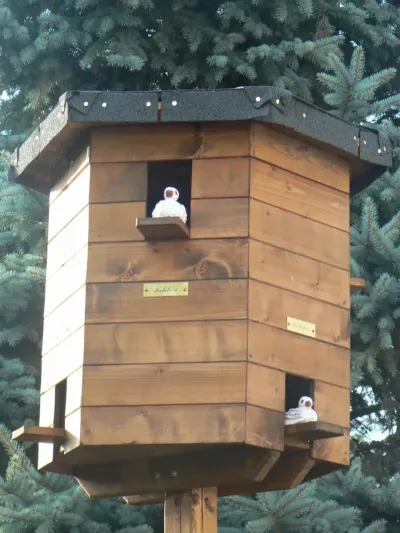 Výstava na louce 2014 5 33