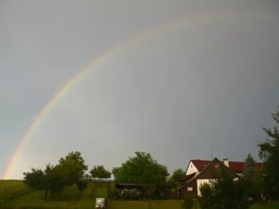Výstava na louce 2014 11 33